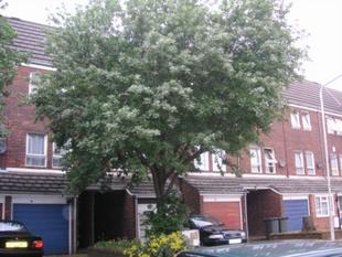 Buy or rent a property | Richmond Street, London E13 9AA