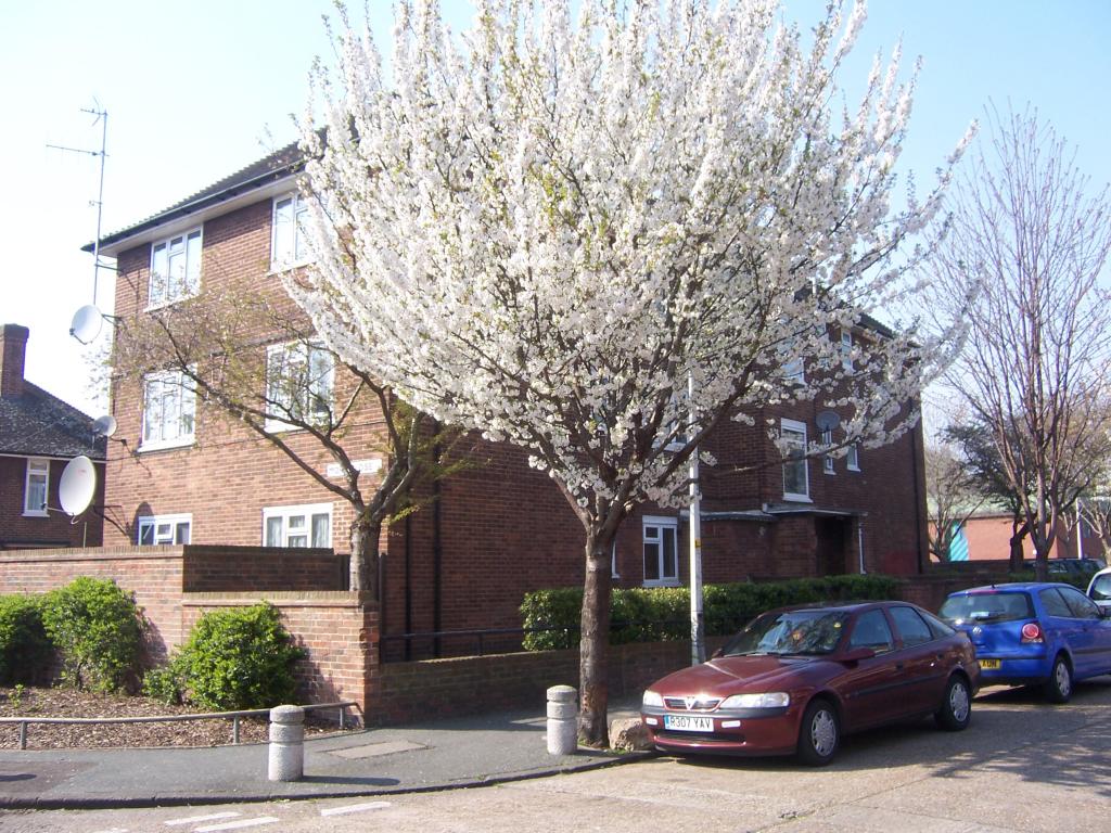 Buy or rent a property | Ibbotson Avenue, London E16 1JD