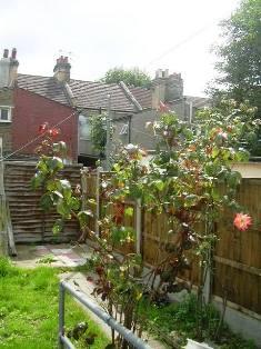 Buy or rent a property | Caledon Road, London E6 2HE