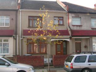 Buy or rent a property | Wall End Road, London E6 2NP